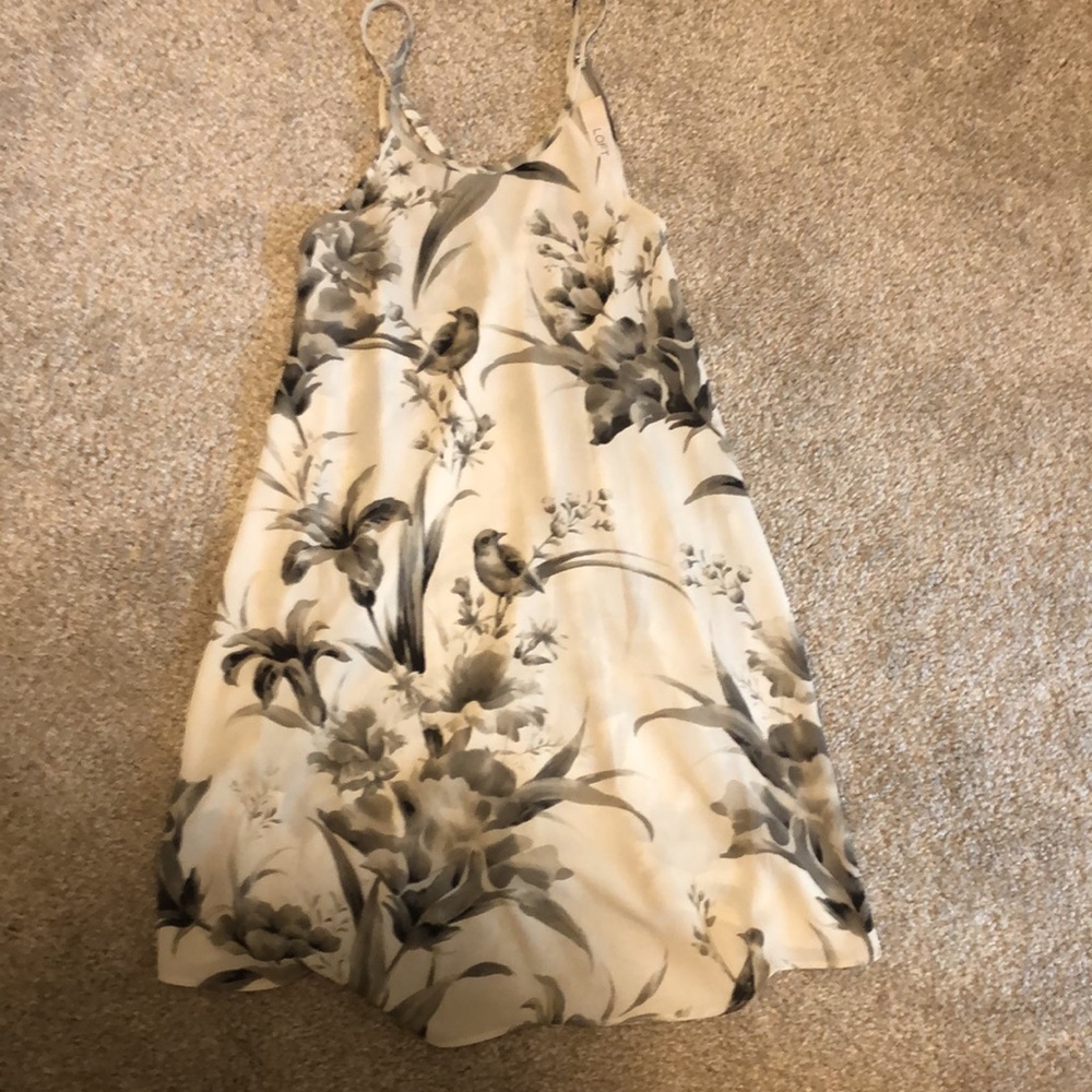 Loft dressy top